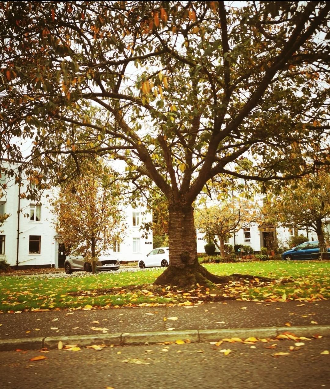 Entire 1 Bed Spacious Apartment, Private Balcony & Study Room Near City Whitehouse  Esterno foto